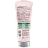 Guhl - Rijke Voeding 3-in-1 - Haarmasker - Met Amandelolie en Kersenbloesem - Conditioner, Masker & Serum