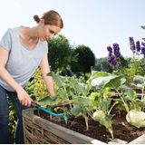 GARDENA combisystem kleine krabber: Tuinkrabber met drie tanden voor het beluchten van de bodem, werkbreedte 7 cm, ergonomische handgreep, corrosiebestendig (8921-20)