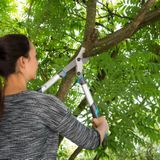 GARDENA takkenschaar EnergyCut 600 B: Handzame boomschaar met geïntegreerde aandrijving voor zwaar snoeiwerk, bypass-principe (12006-20)