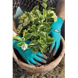 GARDENA Plant- En Bodem Tuinhandschoenen - Maat M