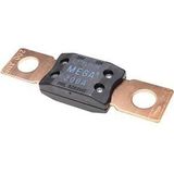 Zekering - MEGA - Blauw - Kopergecoat - 200A - 32V