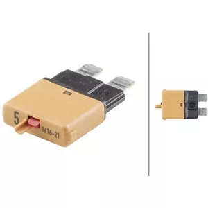 16 Stuks Platte Stripzekeringen 60A – Voor Auto, Camper En Meer (max 32V)