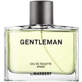Marbert - Gentlemen Eau de Toilette 100 ml Herren (126.2 € / 1 l)