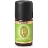 Cajeput - Etherische Olie - 10ml - Natuurlijke Componenten
