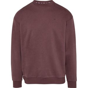 Q/ designed by - Sweater - Mannen - 47L0 LILAC/PINK