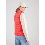 Lichaamsverwarmer - Gewatteerd Vest - Opstaande Kraag