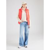 Lichaamsverwarmer - Gewatteerd Vest - Opstaande Kraag