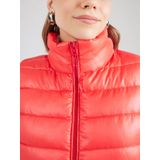 Lichaamsverwarmer - Gewatteerd Vest - Opstaande Kraag