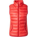 Lichaamsverwarmer - Gewatteerd Vest - Opstaande Kraag