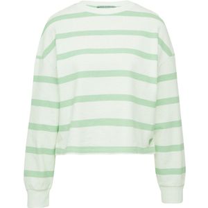 QS - Sweat-shirt - Menthe - Met Motief à Rayures - Lange Mouwen