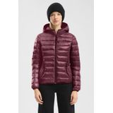 Q/S by s.Oliver - Gewatteerde Jas - Donkerrood