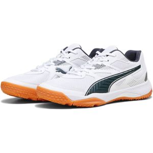 Puma Solarflash II Indoorschoenen Heren