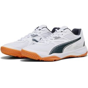 PUMA Solarflash Ii Indoor sportschoen uniseks-volwassene, Puma Witte schaduw grijze kauwgom, 43 EU