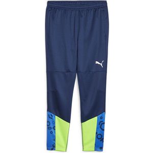 Puma Individual Cup Trainingsbroek Blauw Man