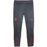 Manchester City FC Sportbroek Mannen