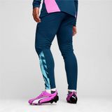 PUMA - Individual Final Training Pants - Trainingsbroek - Blauw - 100% Gerecycled Polyester, DRYCELL Technologie