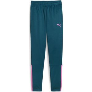 Puma Trainingsbroek Petrol/Roze