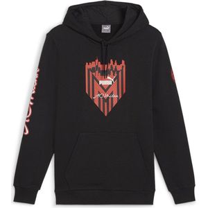 Puma - Ftblicons - Hoodie - Zwart - French Terry