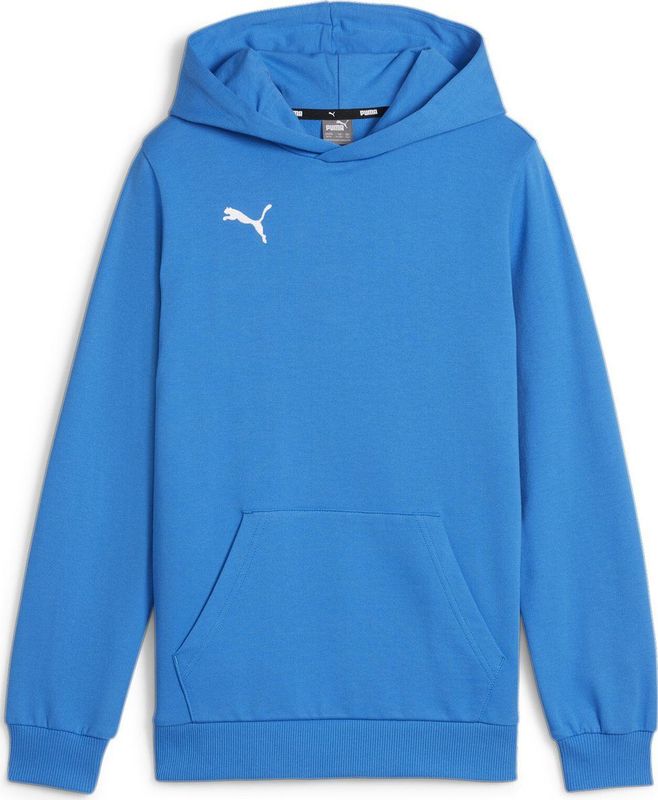 PUMA teamGOAL Casuals Hoody Jr Jongens sporttrui - Ignite Blue-PUMA White