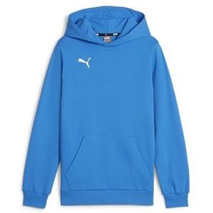 PUMA Teamgoal Casuals Jr trui met capuchon voor jongens