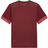 Puma teamgoal matchday t-shirt in de kleur rood