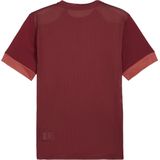 Puma teamgoal matchday t-shirt in de kleur rood