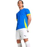 Puma - TeamGoal - Jersey - Kleding