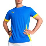Puma - TeamGoal - Jersey - Kleding