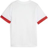 TeamGOAL - Wedstrijddag Jersey - Sportshirt - Comfortabel - Duurzaam - Sterk