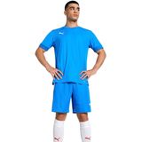 Jersey Puma Teamgoal Matchday