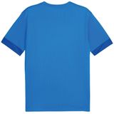 Jersey Puma Teamgoal Matchday