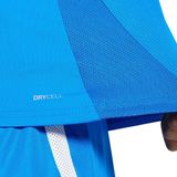 Jersey Puma Teamgoal Matchday