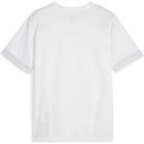 PUMA - teamGOAL Matchday Jersey jr - Sportshirt - PUMA White-PUMA Black-Feather Gray