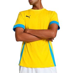Puma - TeamGOAL Matchday Shirt - Geel - Blauw - Heren