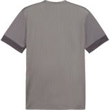 PUMA teamGOAL Matchday Jersey Heren Sportshirt - Cast Iron-PUMA White-Shadow Gray