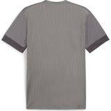 Puma teamgoal matchday t-shirt in de kleur wit