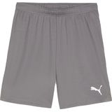 PUMA teamGOAL Shorts Heren sportbroek - Cast Iron-PUMA White