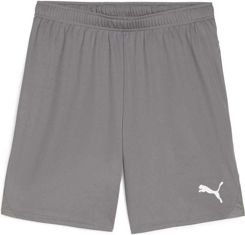 PUMA teamGOAL Shorts Heren sportbroek - Cast Iron-PUMA White