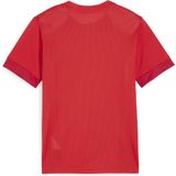PUMA teamGOAL Matchday Jersey jr Unisex Sportshirt - PUMA Red-PUMA White-Fast Red