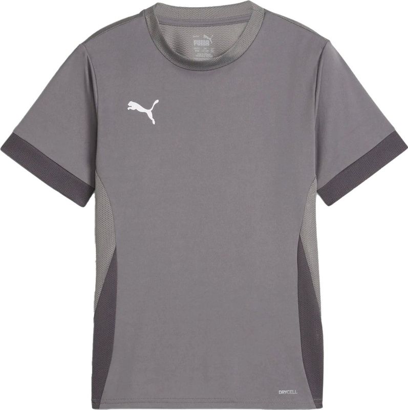 Puma - TeamGoal - Trainingstrui - Vesten