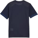 Puma teamgoal matchday jersey in de kleur marine.