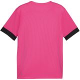 Puma - Teamgoal Matchday - Sportsokken