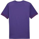 PUMA - teamGOAL Matchday - Voetbalshirt - Paars - Standaard Pasvorm