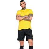 PUMA - Teamgoal Matchday Jersey - Voetbalshirt - Unisex - Kleur