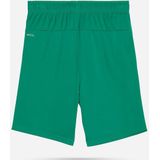 PUMA - Teamgoal - Korte Broeken - Junior
