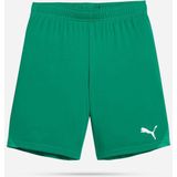 PUMA - Teamgoal - Korte Broeken - Junior
