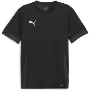 Puma - Teamgoal Matchday - Sportsokken