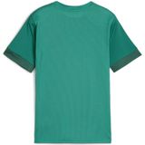 PUMA Unisex Teamgoal Matchday Jersey Jr Voetbalshirt