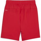 PUMA Trainingsshorts TEAMGOAL SHORTS JR