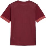 Puma - TeamGoal - Trainingstrui - Kinderen